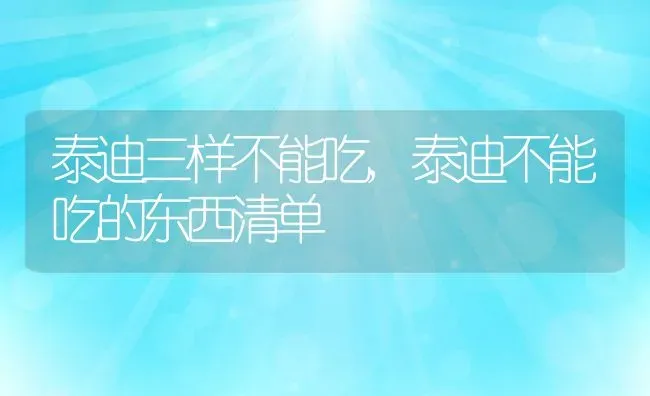 泰迪三样不能吃,泰迪不能吃的东西清单 | 养殖资料