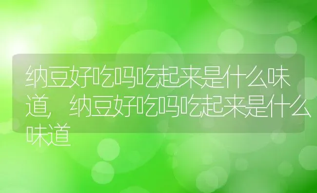 纳豆好吃吗吃起来是什么味道,纳豆好吃吗吃起来是什么味道 | 养殖科普