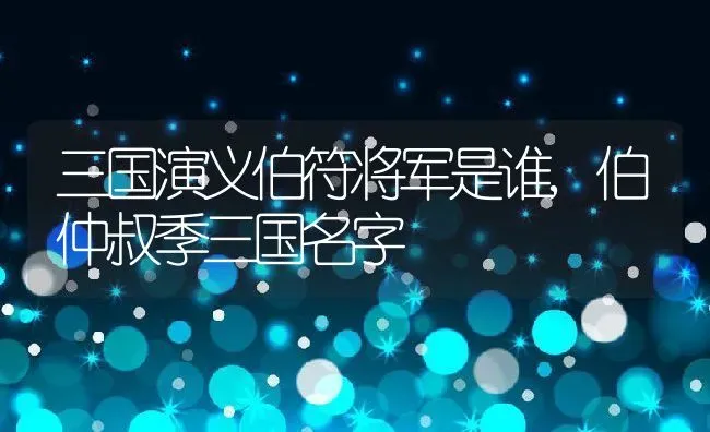 三国演义伯符将军是谁,伯仲叔季三国名字 | 养殖学堂