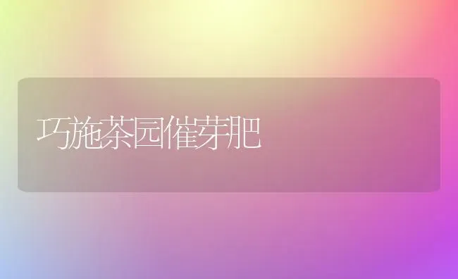 巧施茶园催芽肥 | 养殖技术大全