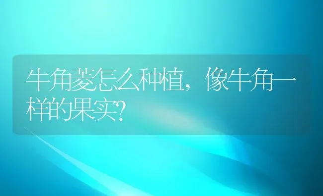 鸡皮可以吃吗,鸡皮可以吃吗有毒素没有 | 养殖科普