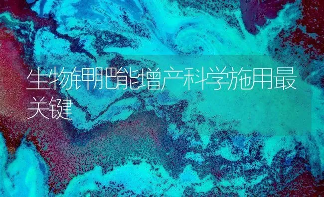 生物钾肥能增产科学施用最关键 | 养殖技术大全