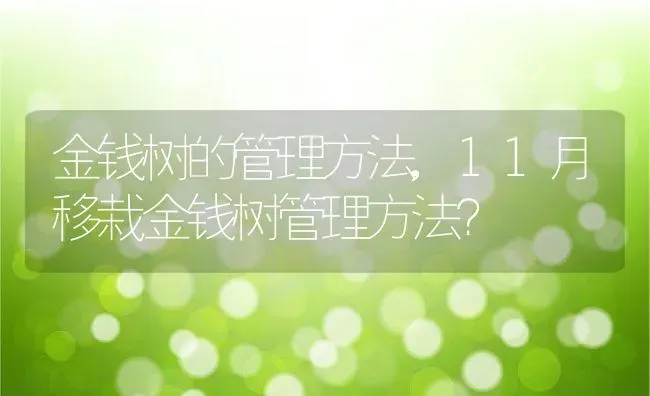 金钱树的管理方法,11月移栽金钱树管理方法？ | 养殖科普