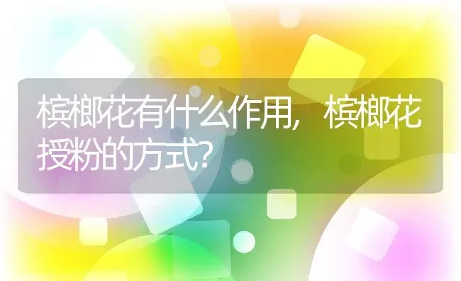 槟榔花有什么作用,槟榔花授粉的方式？ | 养殖科普