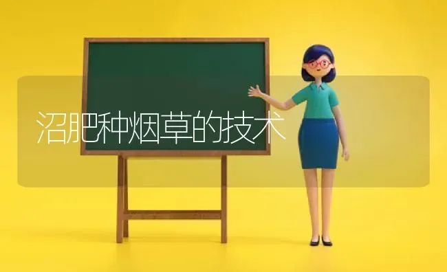 沼肥种烟草的技术 | 养殖技术大全
