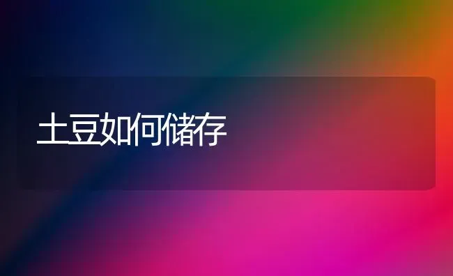 土豆如何储存 | 养殖技术大全