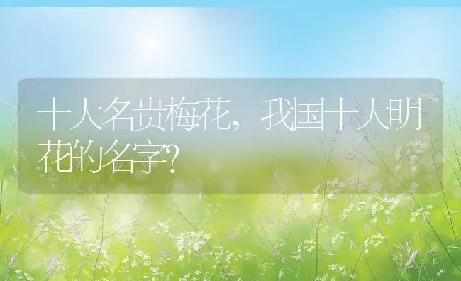 十大名贵梅花,我国十大明花的名字？ | 养殖科普