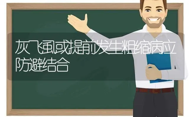 灰飞虱或提前发生粗缩病应防避结合 | 养殖技术大全