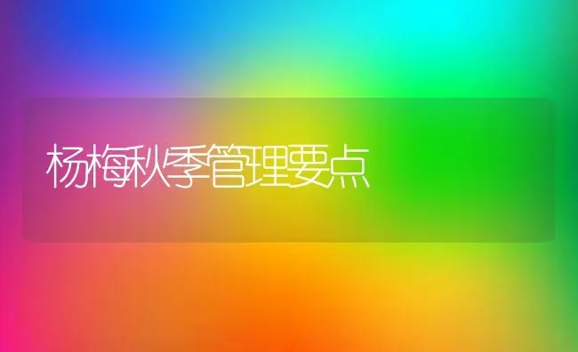 杨梅秋季管理要点 | 养殖知识