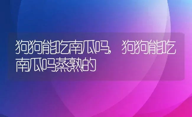 狗狗能吃南瓜吗,狗狗能吃南瓜吗蒸熟的 | 养殖资料