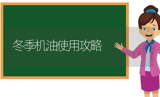 冬季机油使用攻略 | 养殖知识