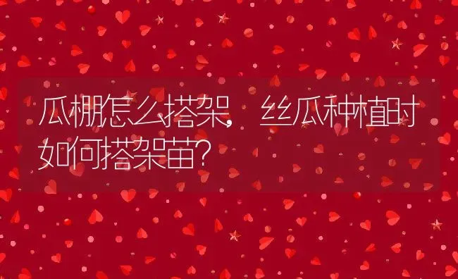 寿命最长的乌龟,寿命最长的乌龟品种 | 养殖科普