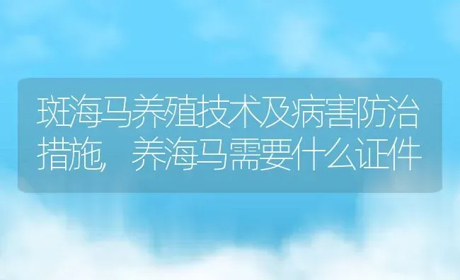 斑海马养殖技术及病害防治措施,养海马需要什么证件 | 养殖学堂