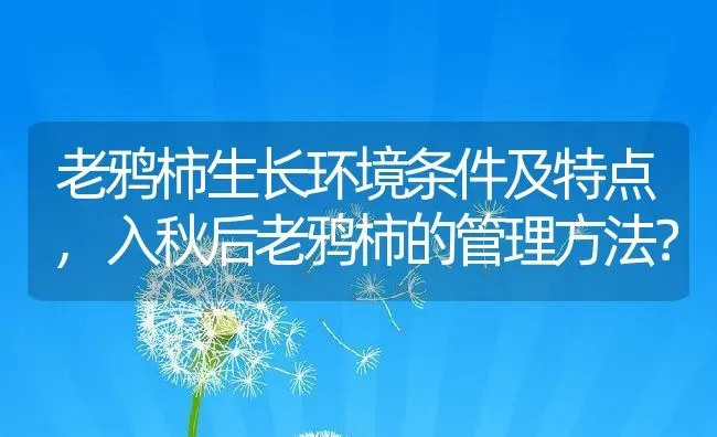 老鸦柿生长环境条件及特点,入秋后老鸦柿的管理方法？ | 养殖科普