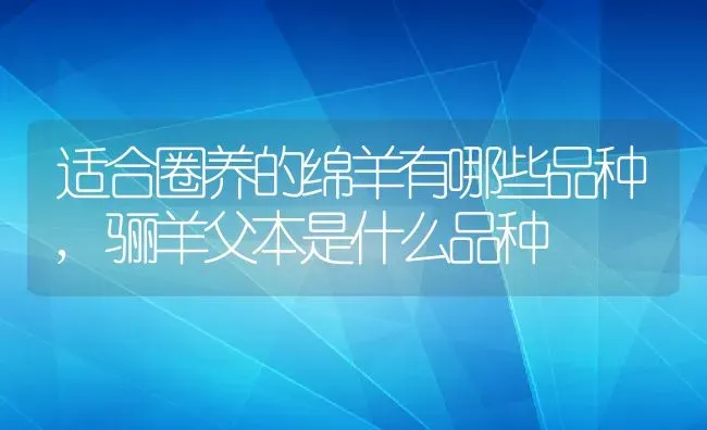 适合圈养的绵羊有哪些品种,骊羊父本是什么品种 | 养殖学堂