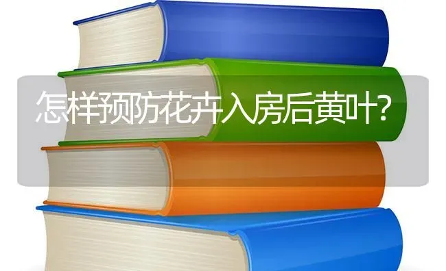 怎样预防花卉入房后黄叶? | 养殖知识