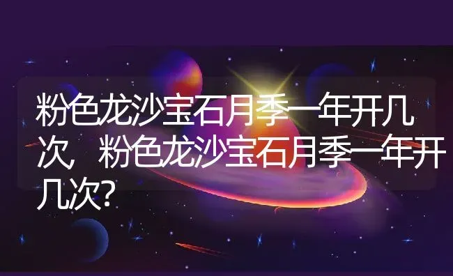 粉色龙沙宝石月季一年开几次,粉色龙沙宝石月季一年开几次？ | 养殖科普