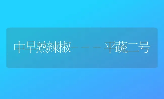 中早熟辣椒---平蔬二号 | 养殖技术大全