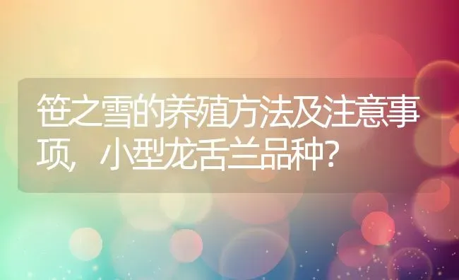 笹之雪的养殖方法及注意事项,小型龙舌兰品种？ | 养殖科普