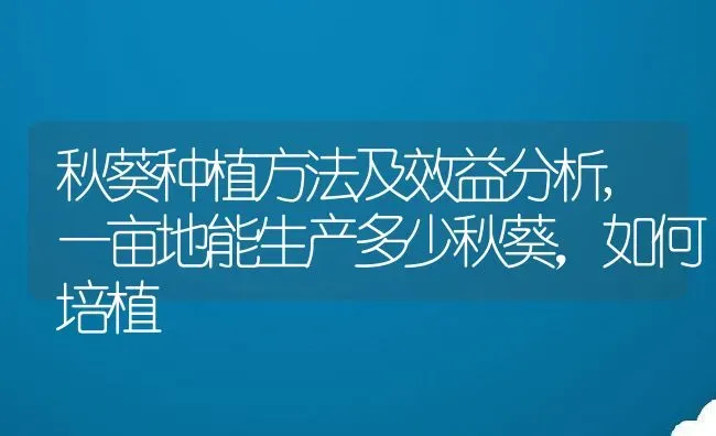秋葵种植方法及效益分析,一亩地能生产多少秋葵，如何培植 | 养殖学堂