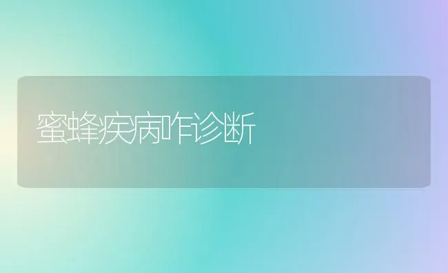 蜜蜂疾病咋诊断 | 养殖技术大全