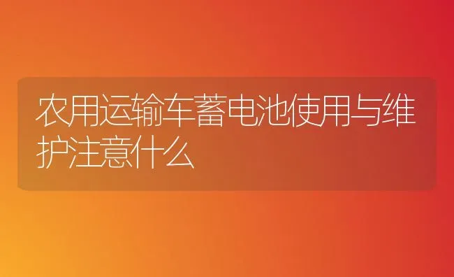 农用运输车蓄电池使用与维护注意什么 | 养殖技术大全