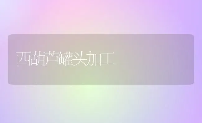 西葫芦罐头加工 | 养殖知识