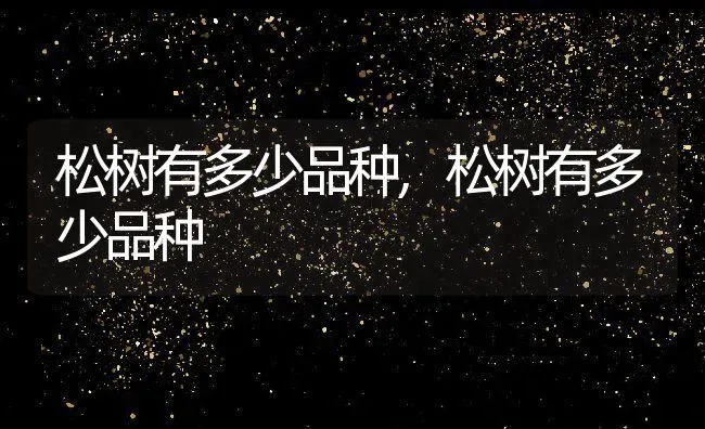 松树有多少品种,松树有多少品种 | 养殖科普