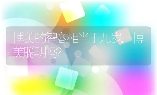 博美的智商相当于几岁,博美聪明吗？ | 养殖学堂