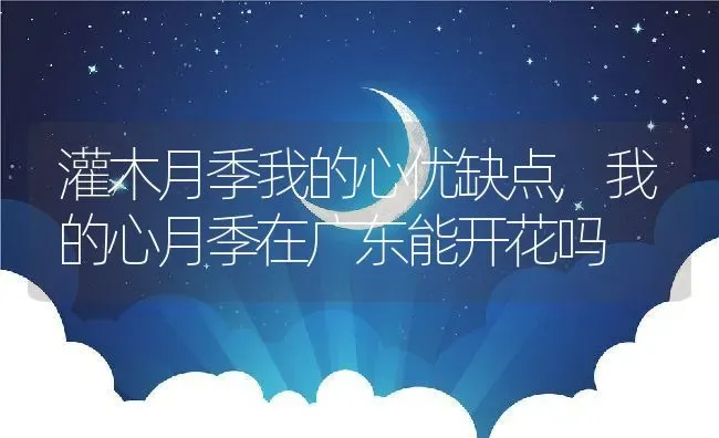 灌木月季我的心优缺点,我的心月季在广东能开花吗 | 养殖学堂