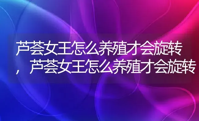 芦荟女王怎么养殖才会旋转,芦荟女王怎么养殖才会旋转 | 养殖科普
