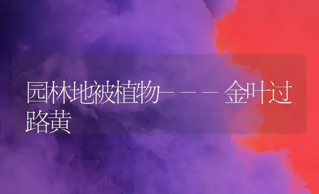 园林地被植物---金叶过路黄 | 养殖技术大全