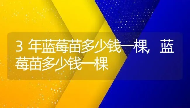3年蓝莓苗多少钱一棵,蓝莓苗多少钱一棵 | 养殖学堂