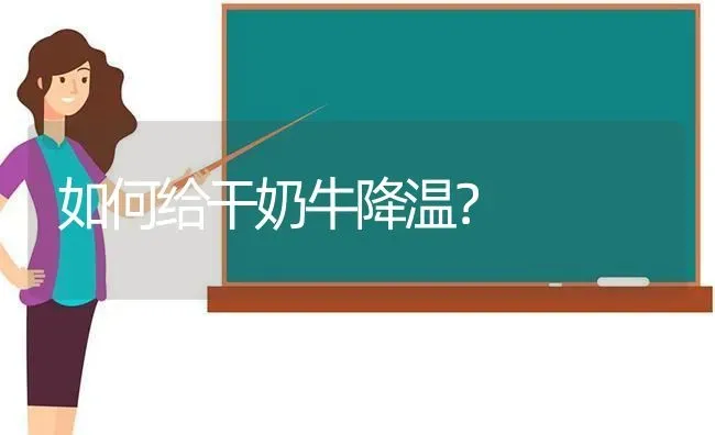 如何给干奶牛降温? | 养殖知识