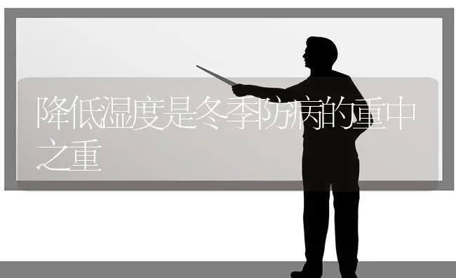 降低湿度是冬季防病的重中之重 | 养殖知识