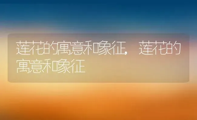 郑人买履告诉我们什么道理,“郑人买履”这个寓言故事告诉了人们什么道理？ | 养殖科普