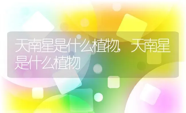 天南星是什么植物,天南星是什么植物 | 养殖科普