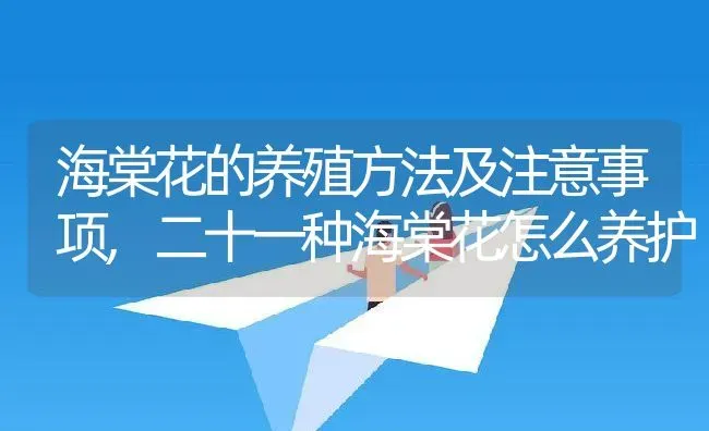 海棠花的养殖方法及注意事项,二十一种海棠花怎么养护 | 养殖学堂