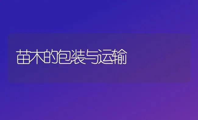 苗木的包装与运输 | 养殖技术大全