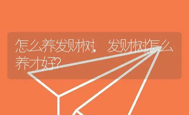 怎么养发财树,发财树怎么养才好？ | 养殖科普