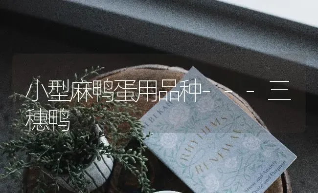 老棚土壤出现的问题及修复方法 | 养殖技术大全