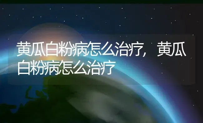 黄瓜白粉病怎么治疗,黄瓜白粉病怎么治疗 | 养殖科普