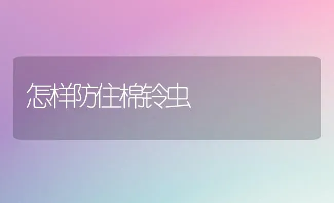怎样防住棉铃虫 | 养殖技术大全