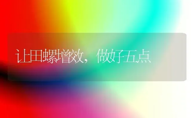 让田螺增效,做好五点 | 养殖技术大全