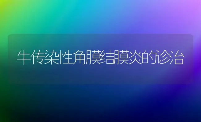 牛传染性角膜结膜炎的诊治 | 养殖知识