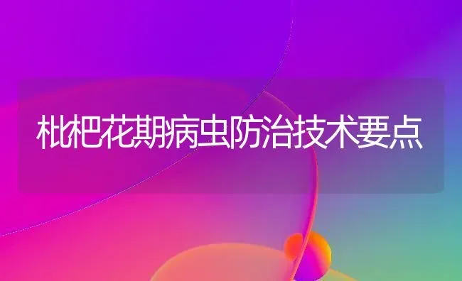 枇杷花期病虫防治技术要点 | 养殖知识