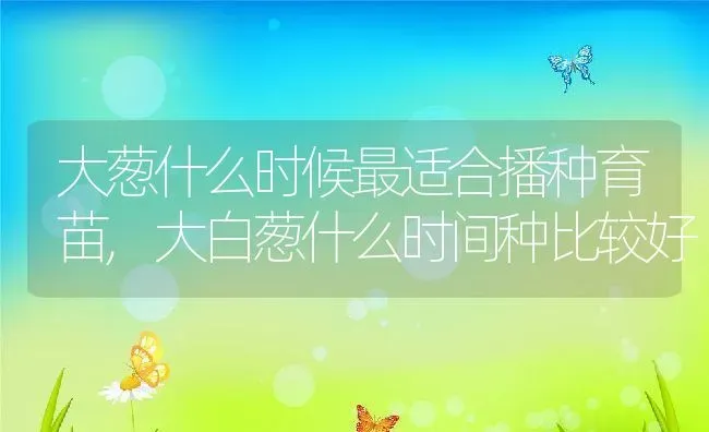 大葱什么时候最适合播种育苗,大白葱什么时间种比较好 | 养殖学堂
