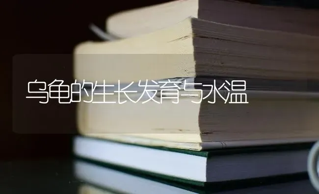 乌龟的生长发育与水温 | 养殖知识