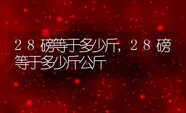 28磅等于多少斤,28磅等于多少斤公斤 | 养殖科普