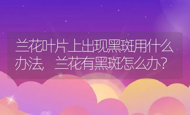 兰花叶片上出现黑斑用什么办法,兰花有黑斑怎么办？ | 养殖科普